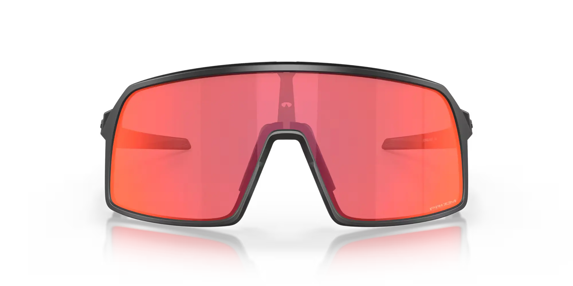 Oakley by Skylereyes