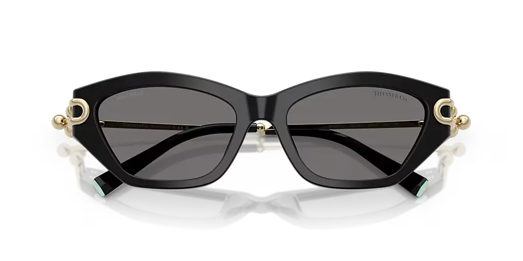 Lunettes De Soleil Tiffany & Co TF4231U by Skylereyes