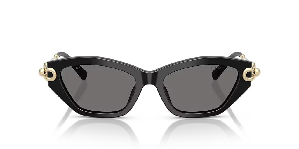 Lunettes De Soleil Tiffany & Co TF4231U by Skylereyes