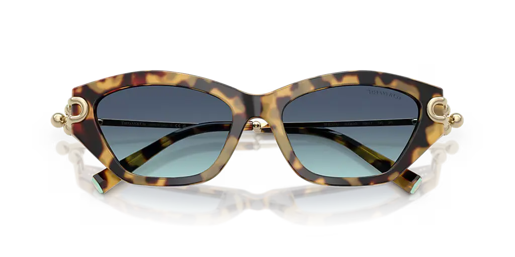 Lunettes De Soleil Tiffany & Co TF4231U by Skylereyes