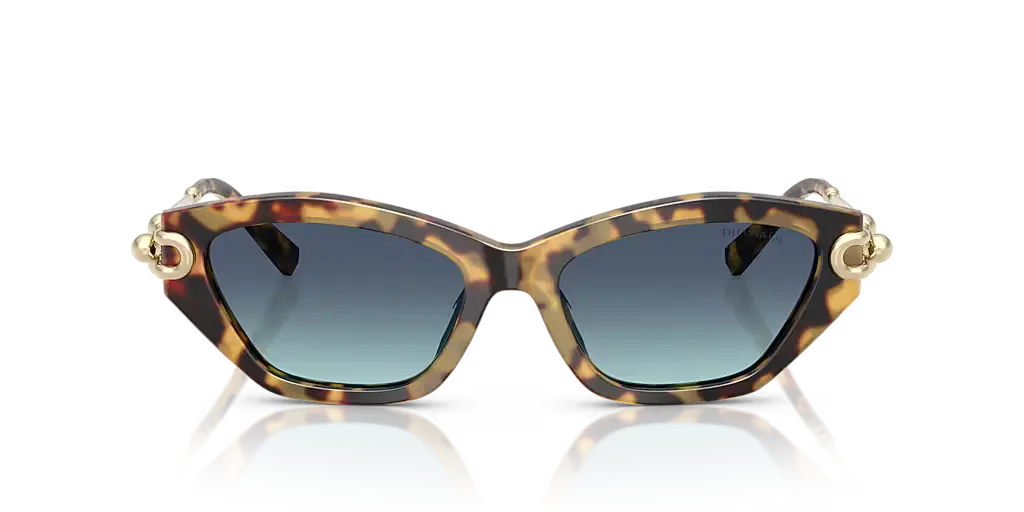 Lunettes De Soleil Tiffany & Co TF4231U by Skylereyes