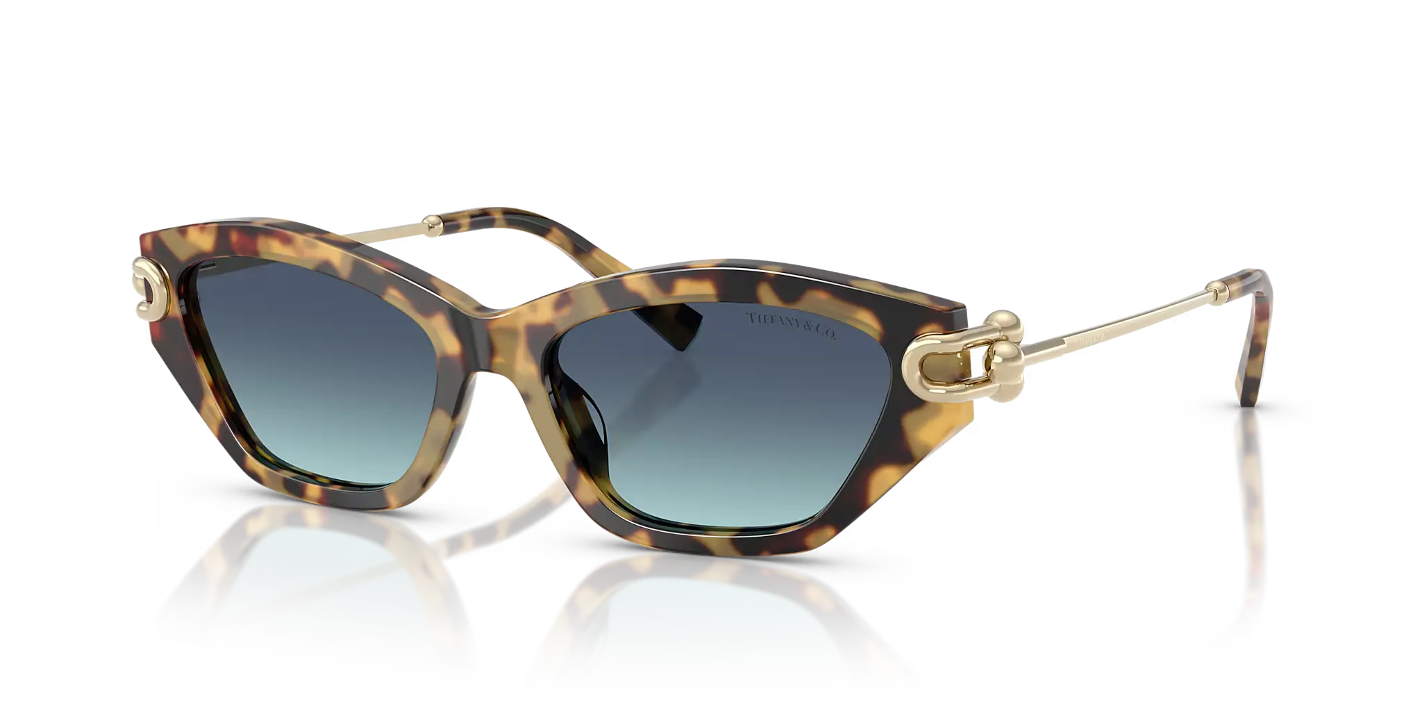 Lunettes De Soleil Tiffany & Co TF4231U (Copie) by Skylereyes