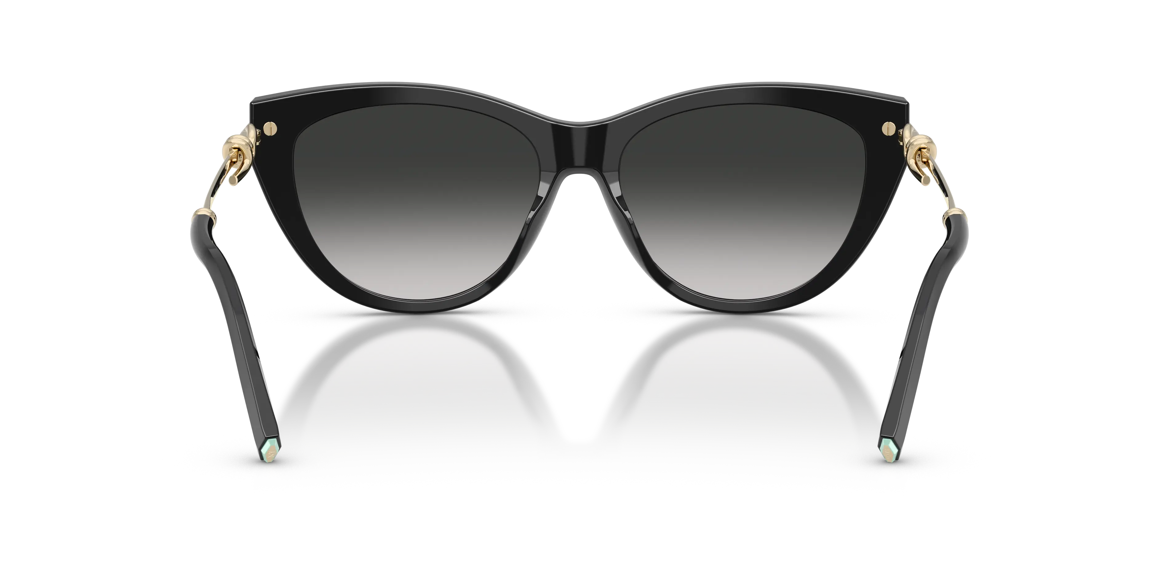 Lunettes De Soleil Tiffany & Co TF4253 by Skylereyes