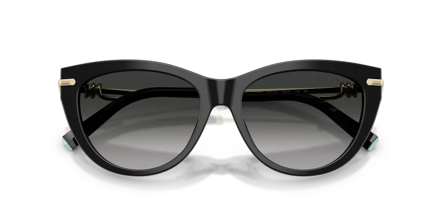 Lunettes De Soleil Tiffany & Co TF4253 by Skylereyes