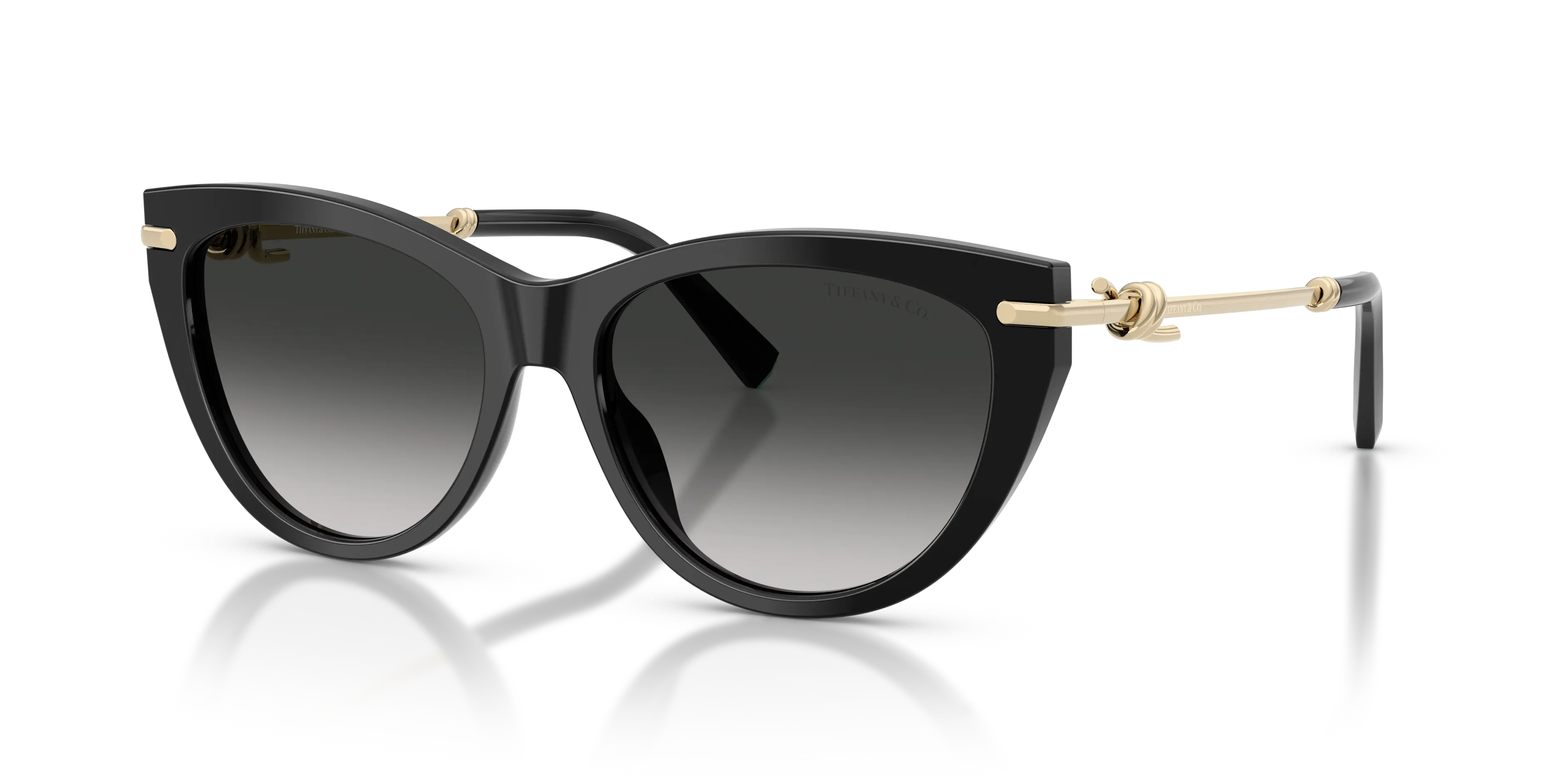 Lunettes De Soleil Tiffany & Co TF4253 by Skylereyes
