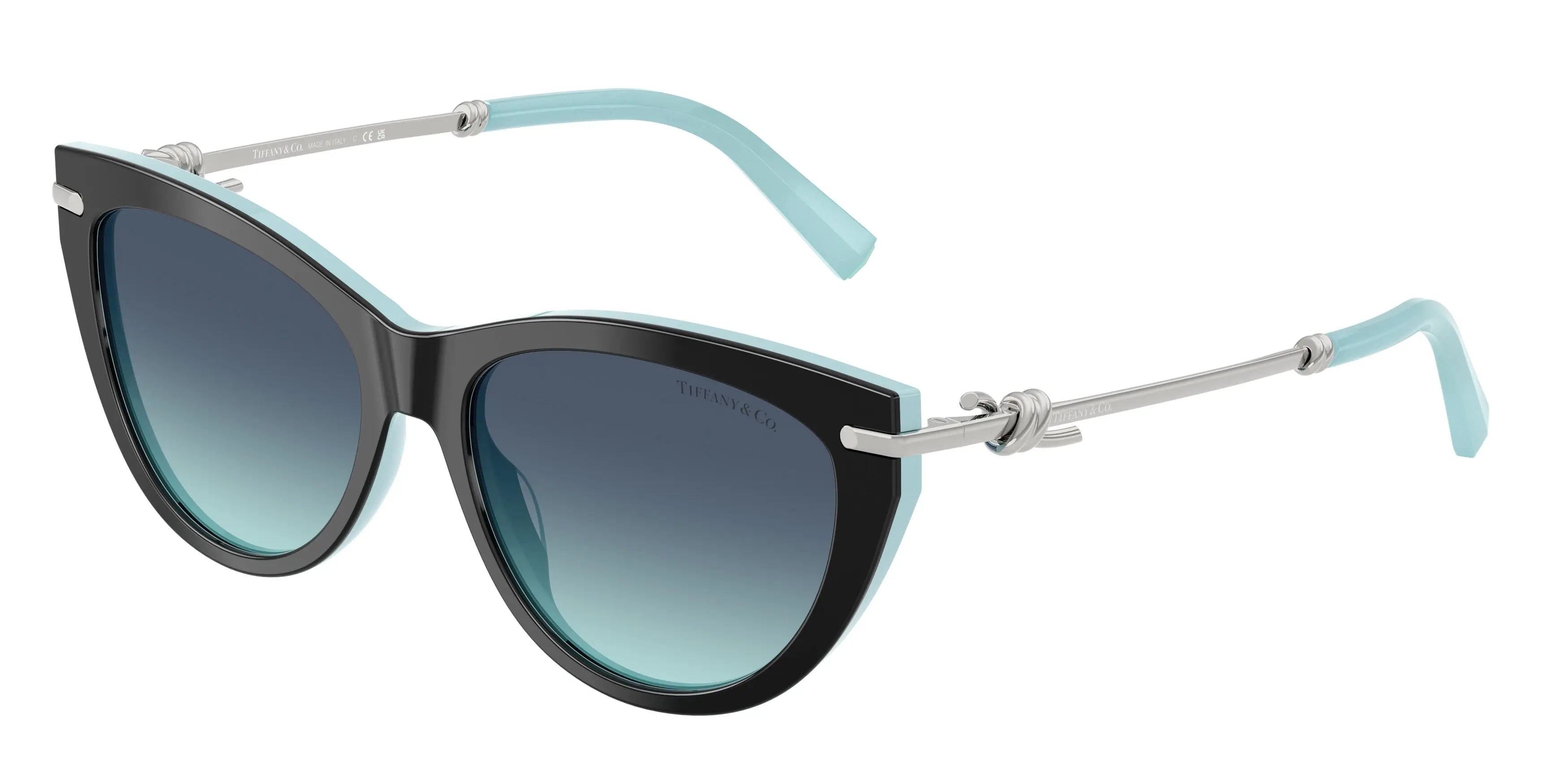 Lunettes De Soleil Tiffany & Co TF4253 by Skylereyes