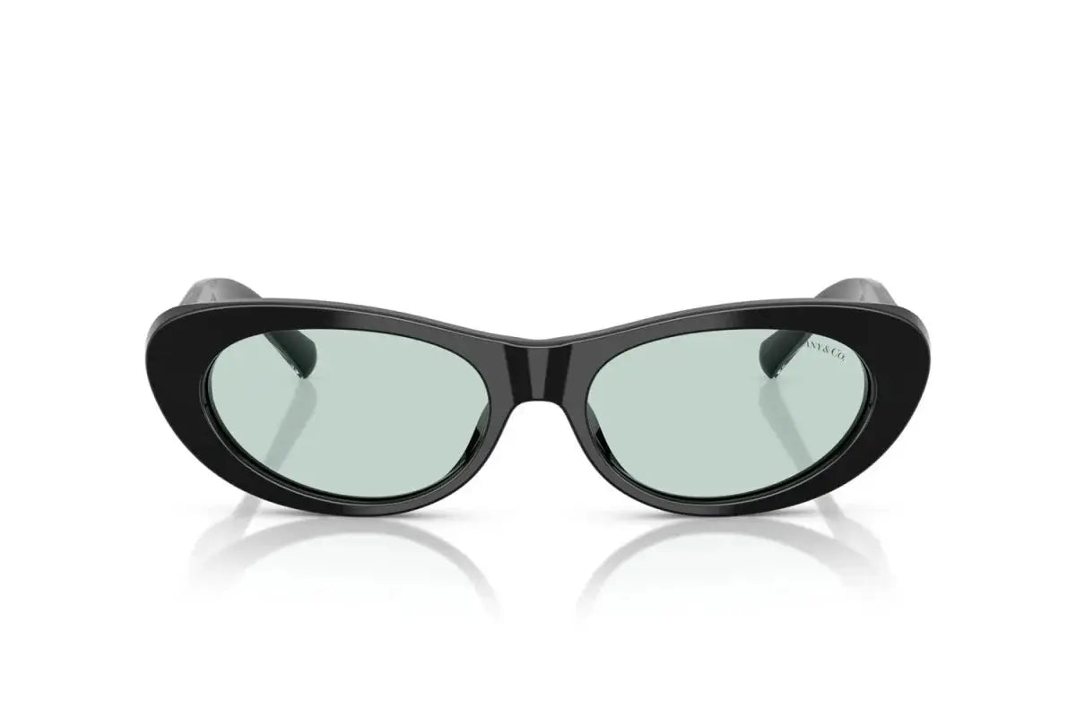 Lunettes De Soleil Tiffany & Co TF 4236U by Skylereyes